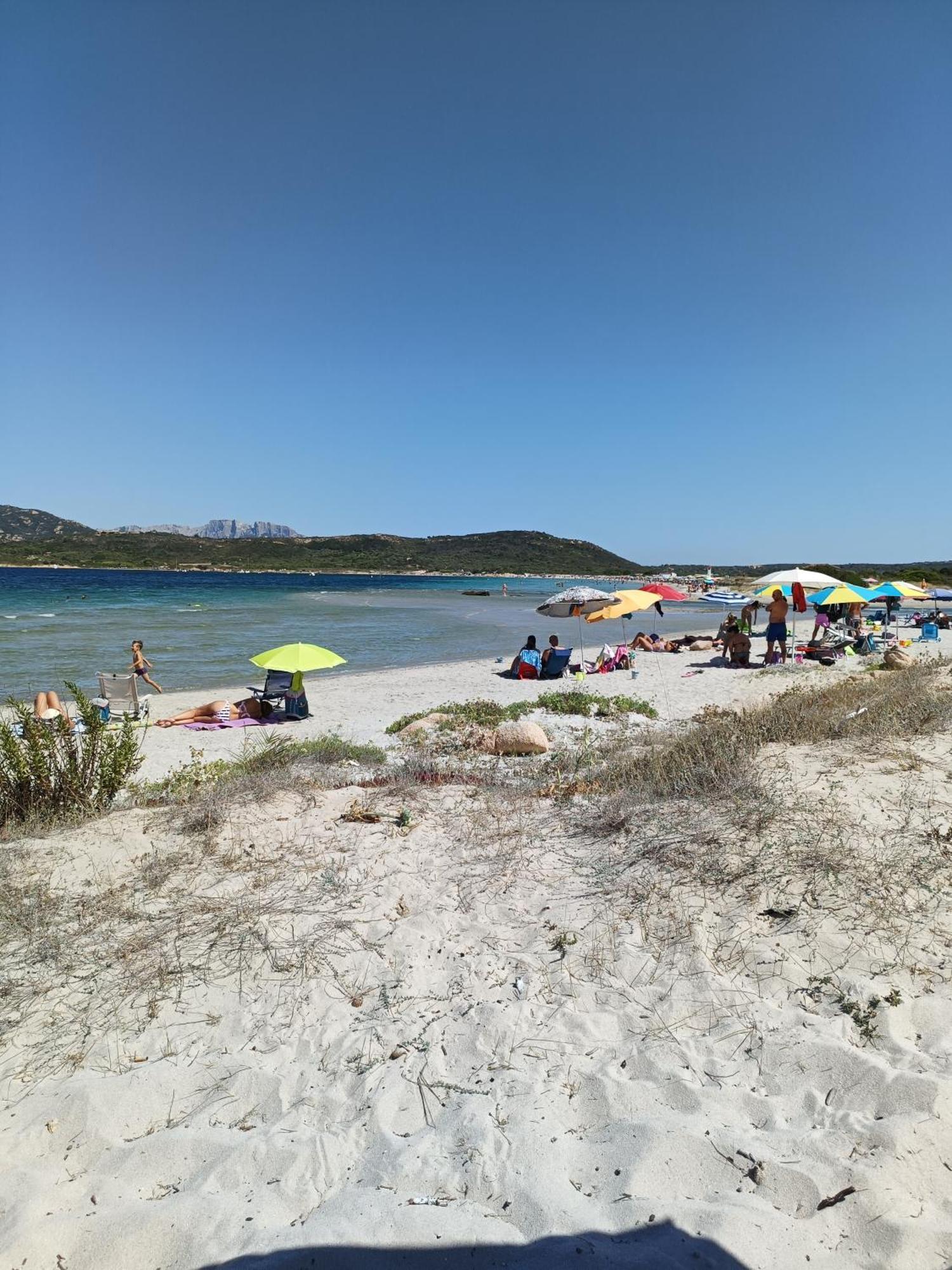 Appartamento Veronese Olbia Zewnętrze zdjęcie